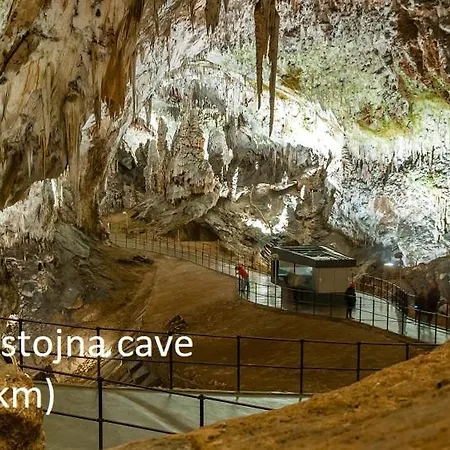 Tiny House With A Big Heart