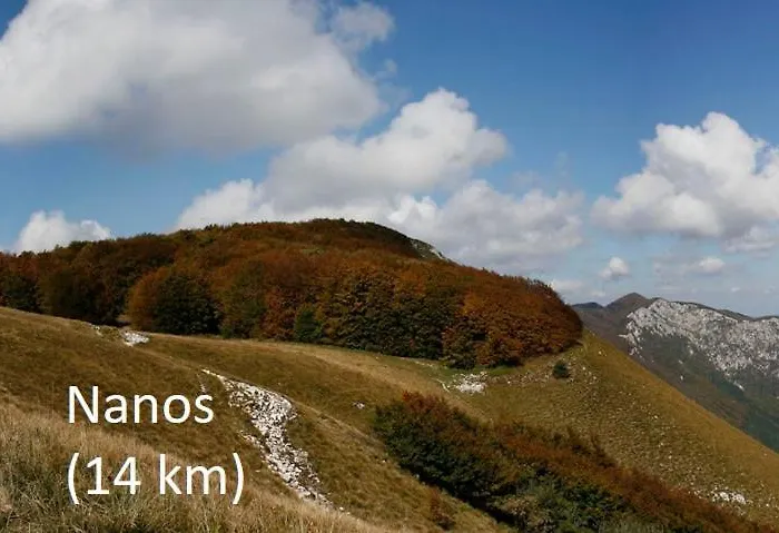 Casa vacanze Tiny House With A Big Heart Postumia