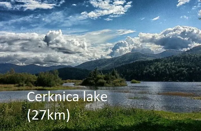 Tiny House With A Big Heart